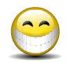 :emoticon-msn-sourire-roule: